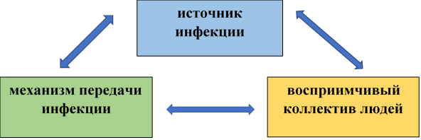 Элементы эпидемиологического процесса