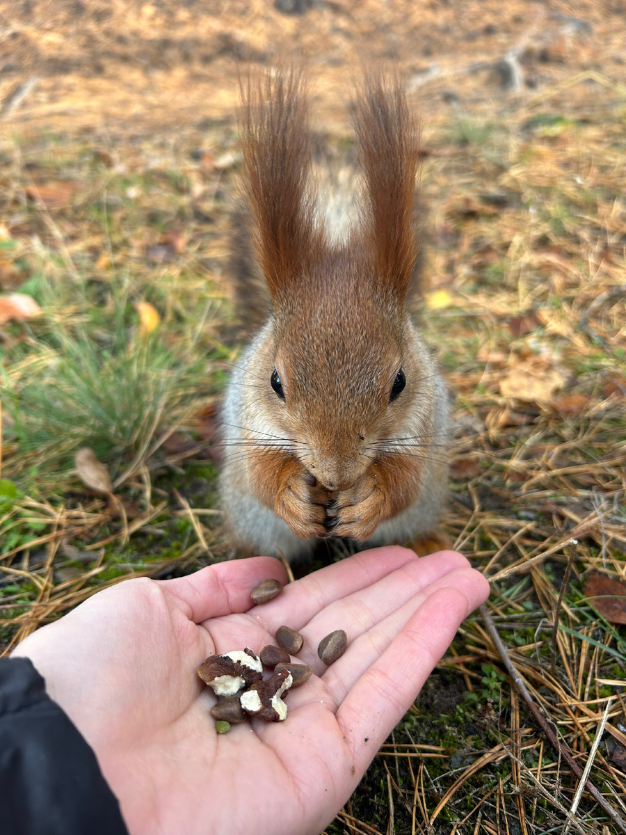 Фото автора 