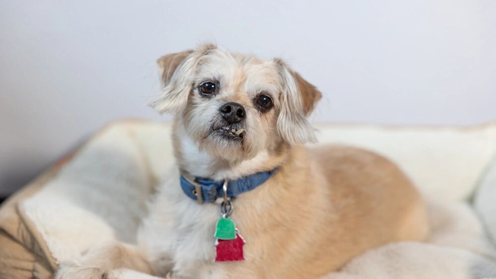    Фото: Ashley Grise/Shutterstock/Fotodom