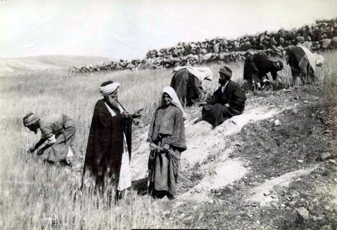 Почему в исламе принято хоронить умерших в день смерти