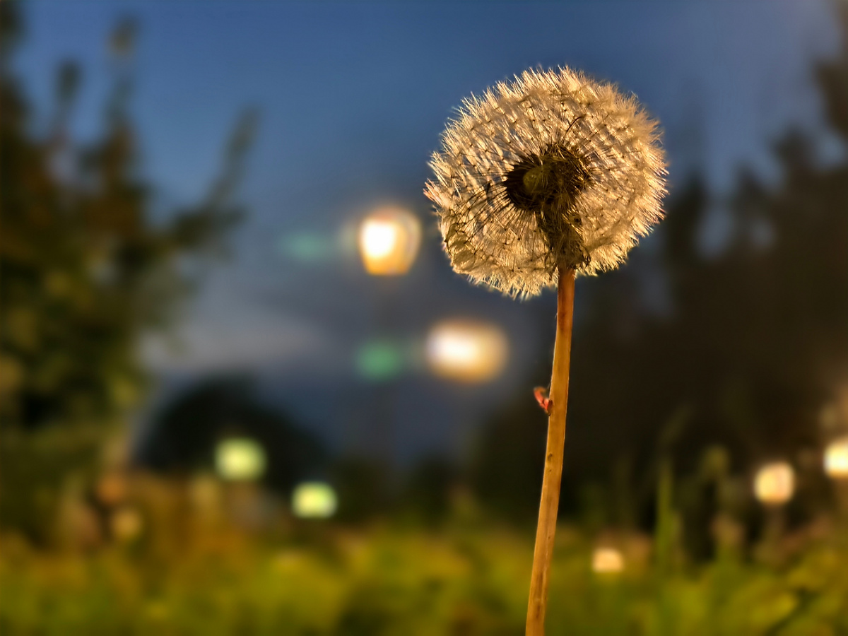 Осенний вечер 