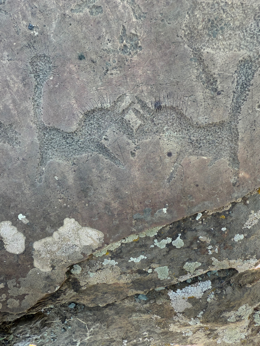 Петроглифы. Фотография из личного архива. 