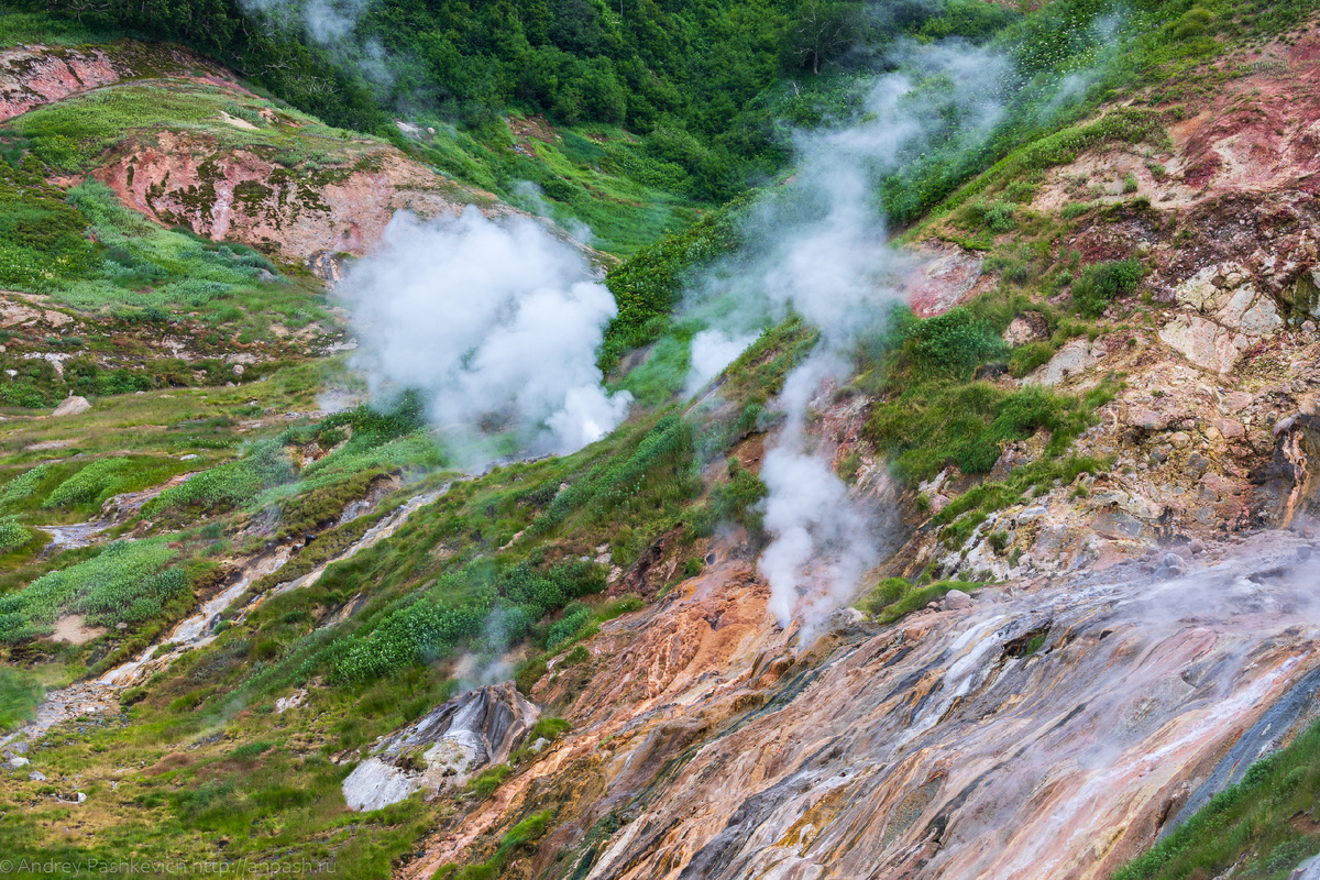 автор Андрей Пашкевич 