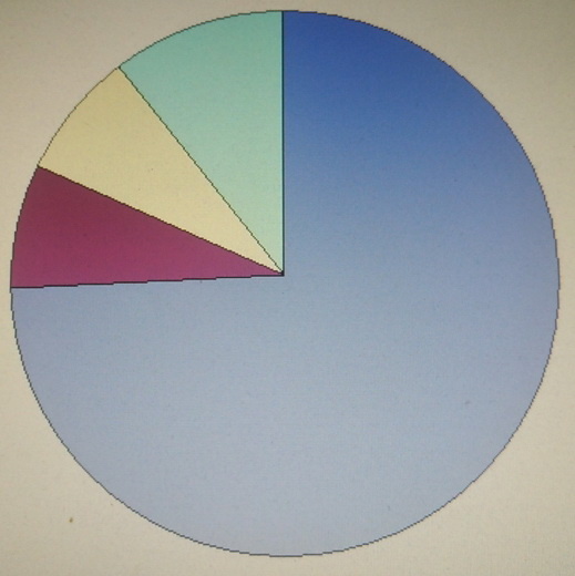 По часовой стрелке: 1. Переносят нормально. 2. Переносят плохо, но приём  не бросили      3. Бросили приём из-за побочных эффектов 4. Не начинали приём из-за страха побочных эффектов.