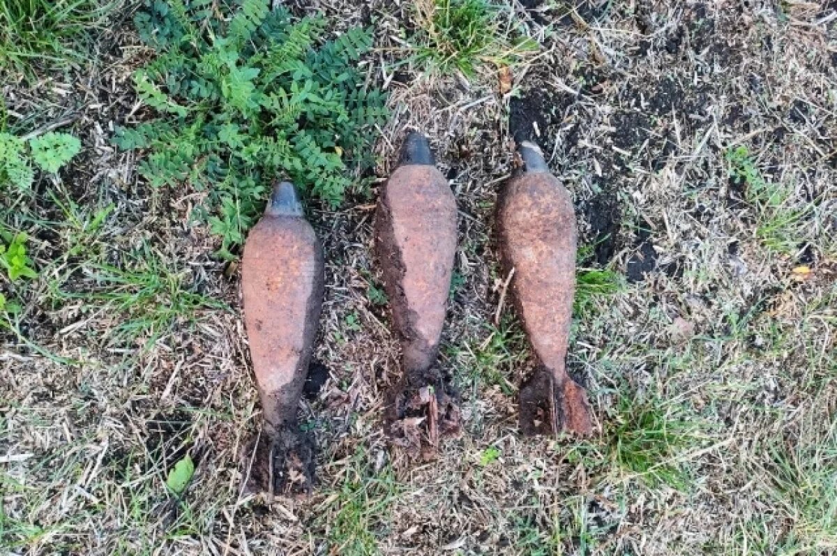    В Санкт-Петербурге за день в трех разных местах нашли три боеприпаса