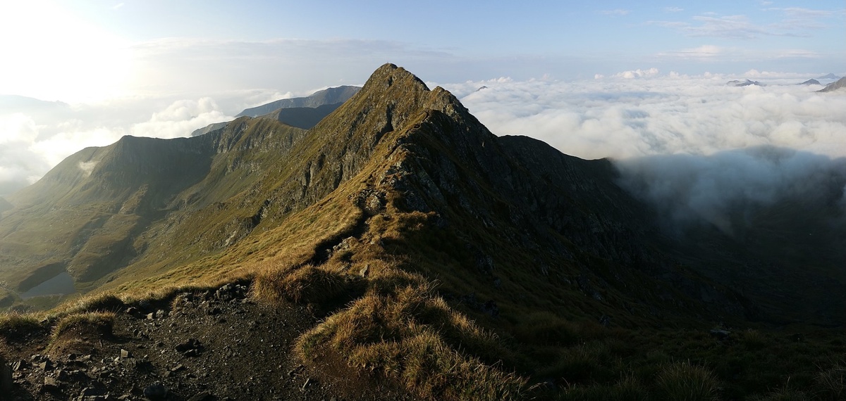 Фото взято с Яндекс.Картинки