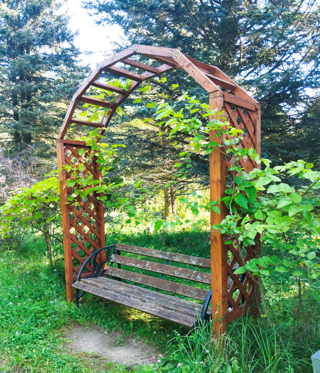 Скамейка в Дендрологическом саду города Переславль-Залесского. ЗДЕСЬ и далее фото автора и(или) из личного архива автора, если не указано иначе.