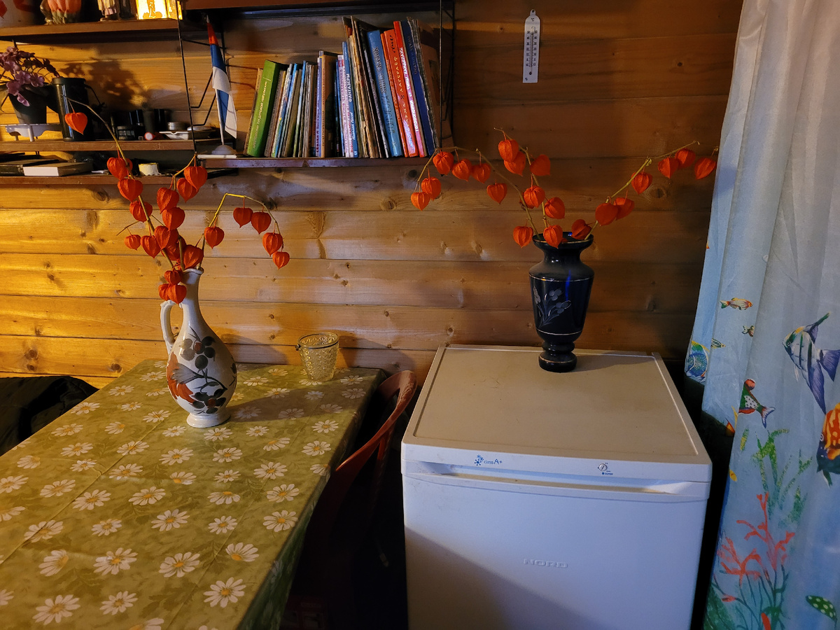 Летний домик будет моей летней кухней, где я буду делать заготовки.