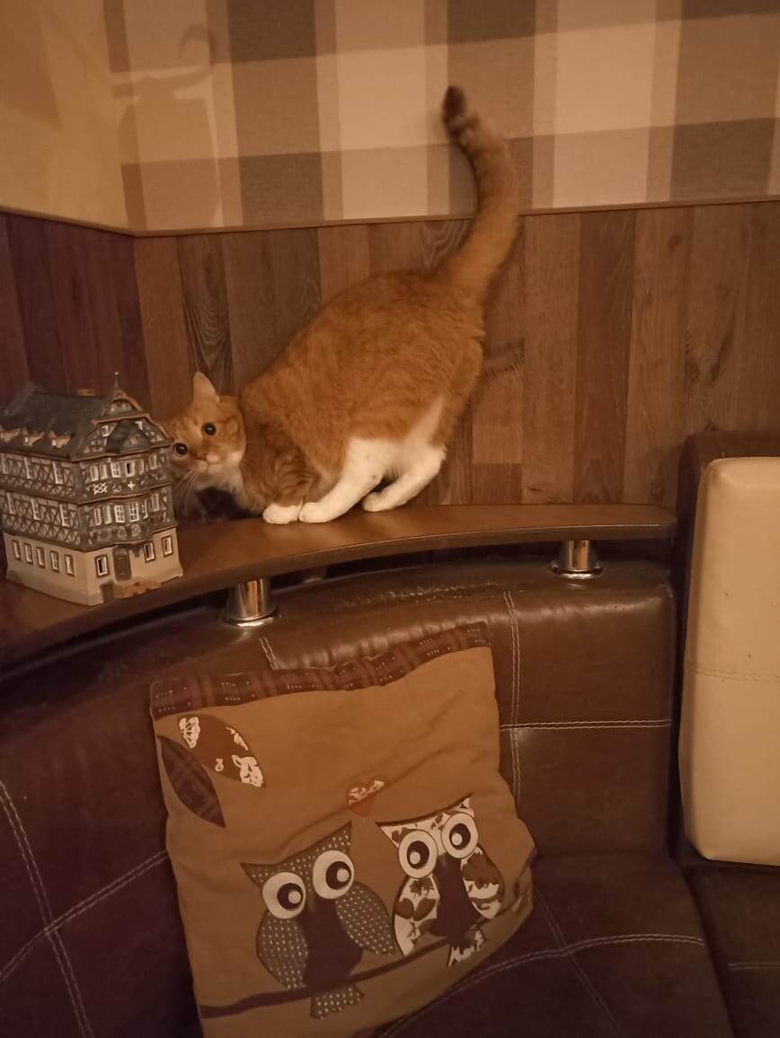 Хоба! Застукали!)) 