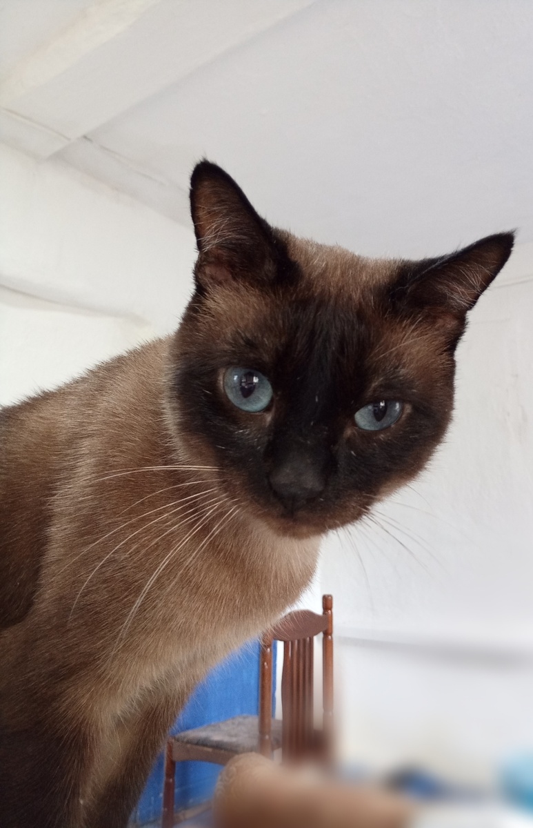 Фото из личного архива