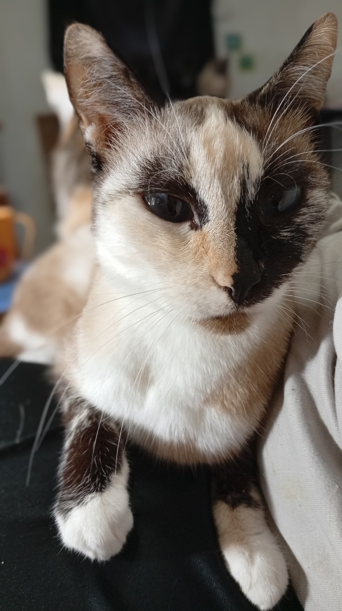 Фото из личного архива