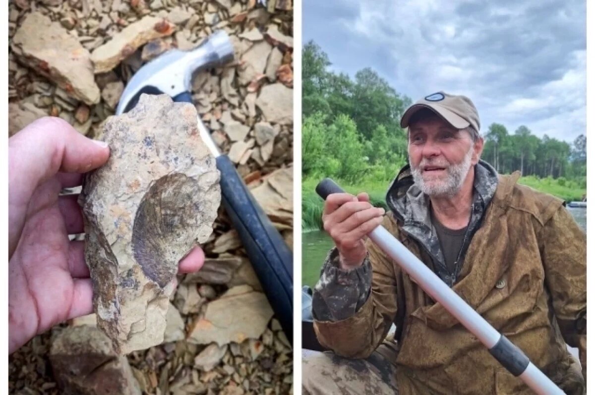    Геннадий Дашкевич рассказал, что миллионы лет назад было на территории Новосибирской области.