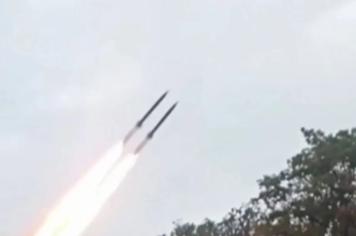    Колесник: войска Макрона и Мерца после перехода границы будут разбиты ТОС