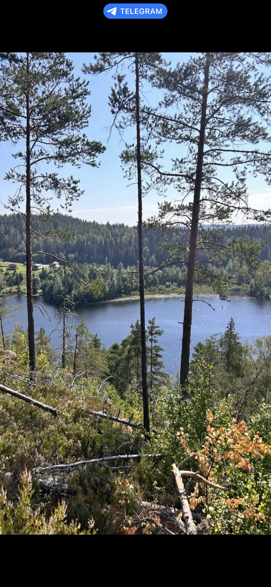 Вид сверху на озеро Ристиярви вблизи глэмпинга «Котопельто»