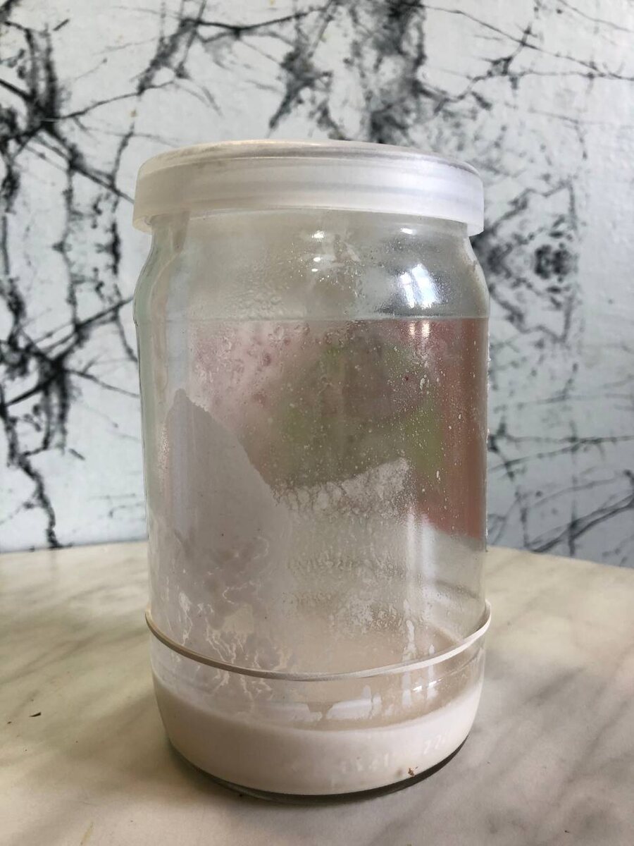 2 месяца в холодильнике без кормления