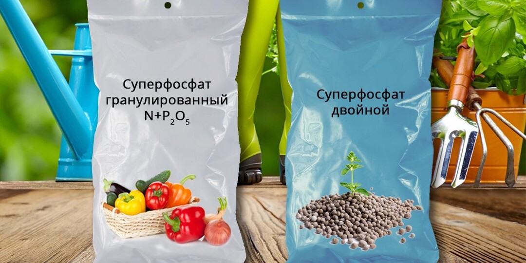 Суперфосфат без ошибок: как я подружила сад и огород с фосфором и чего больше не делаю