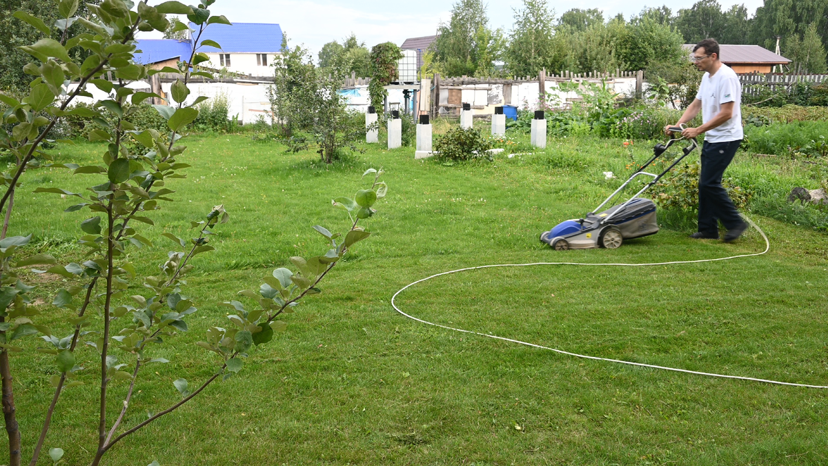 Стрижка газона площадью 2 сотки
