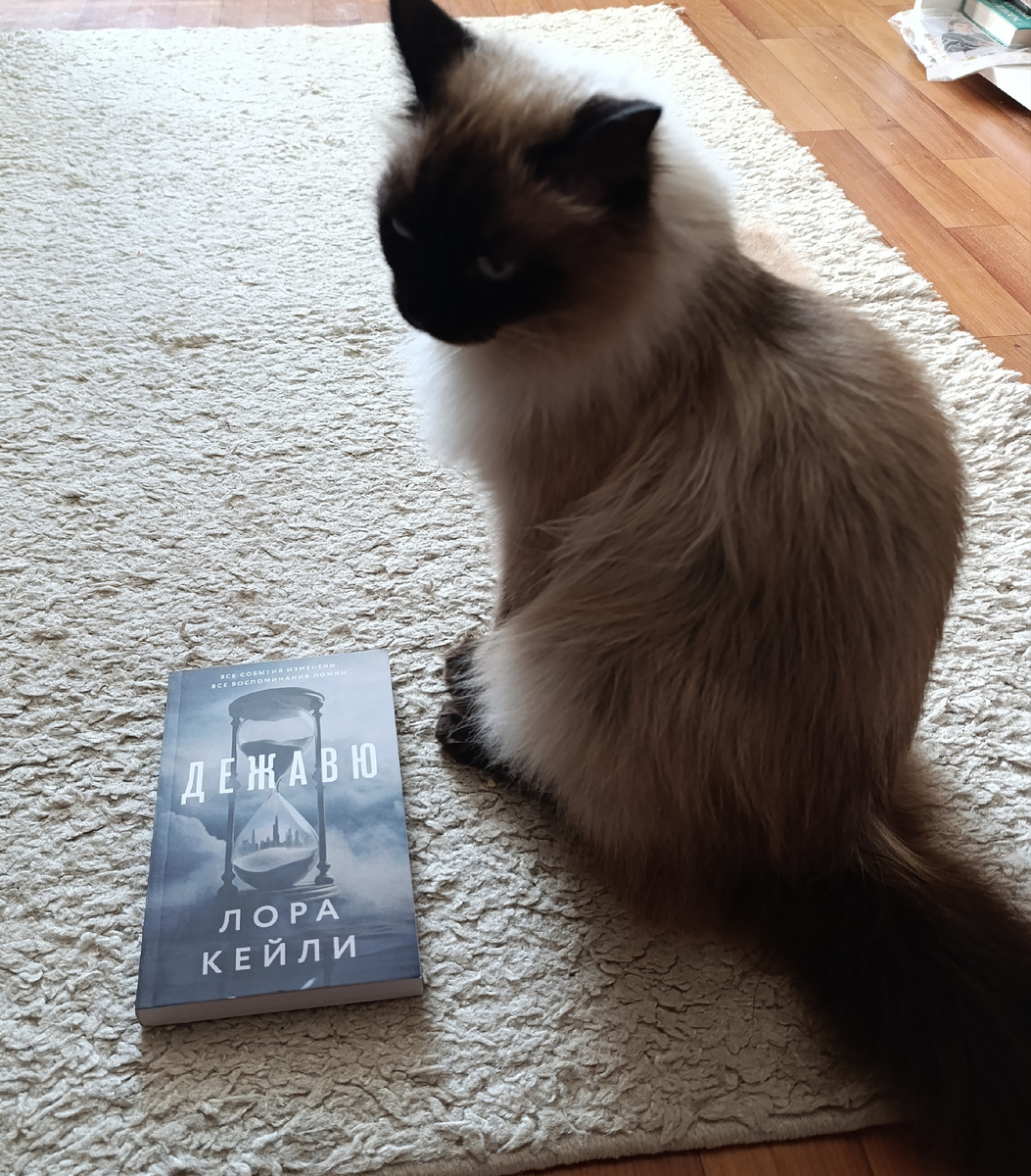 Книгу Кейли сегодня, как и в прошлый раз, представляет Джессика. 