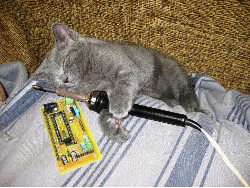 Как вы понял, это как-то связано с электроникой, так ещё и в работе с командой