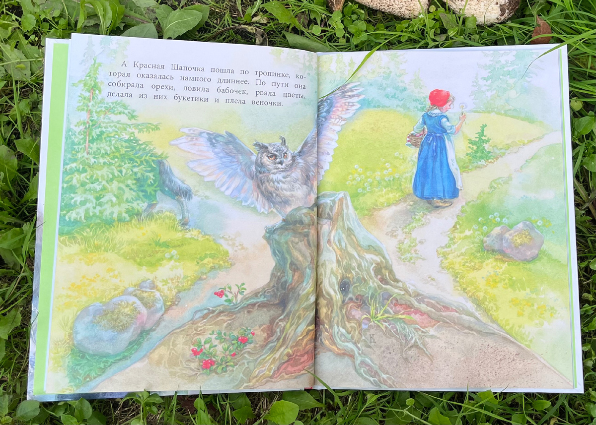 Иллюстратор Е. Бородачёва. Фото автора.