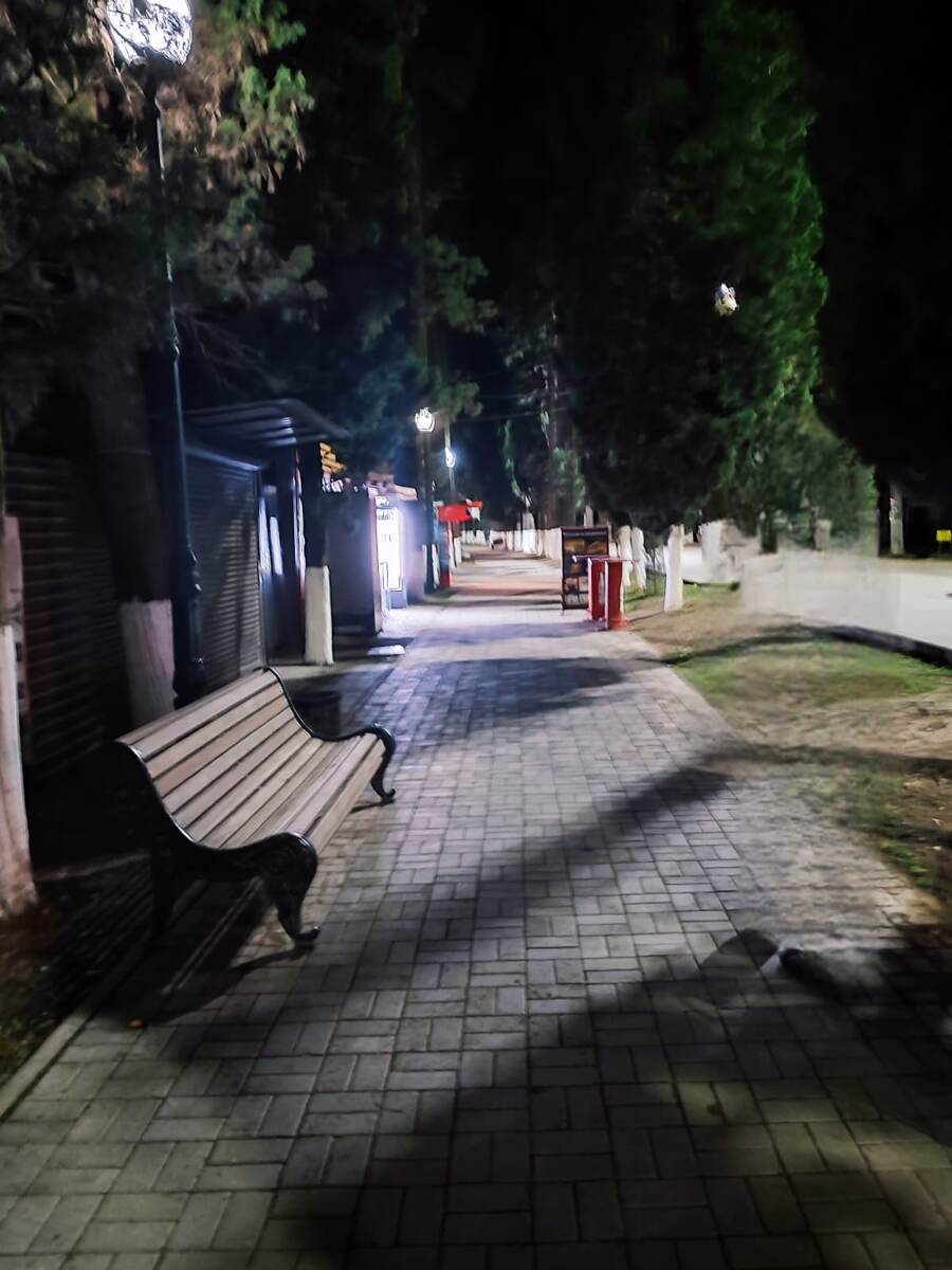 Та самая аллея. Фото автора канала