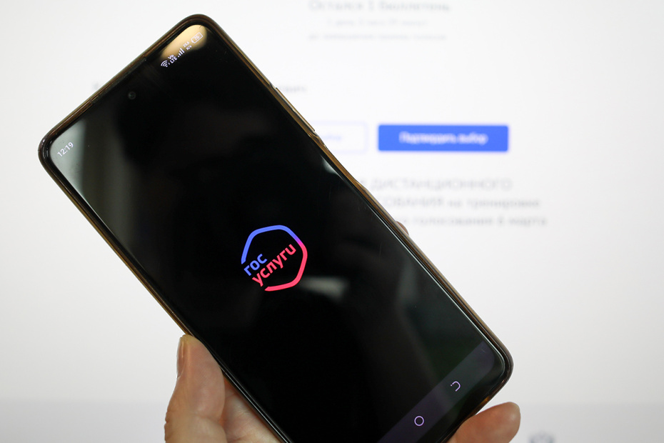    Александра Погиба/NEWS.ru