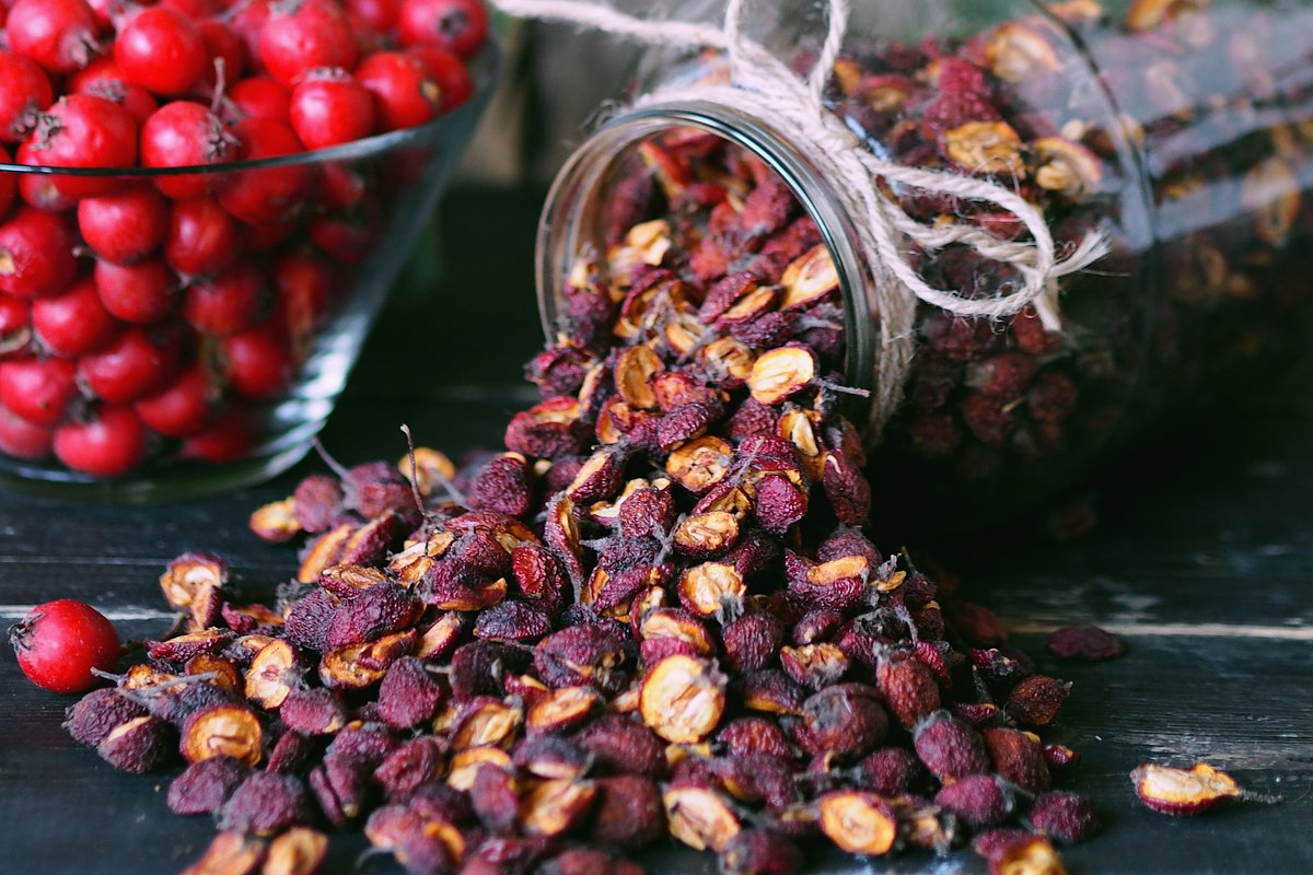 Цельное сырье. Плоды яблокообразные, длиной 6-14 мм, шириной 5-11 мм, сверху с кольцевой оторочкой, образованной ссохшимися чашелистиками. В мякоти плода находятся 1-5 деревянистых косточек, имеющих неправильную треугольную, овальную или сжатую с боков форму.