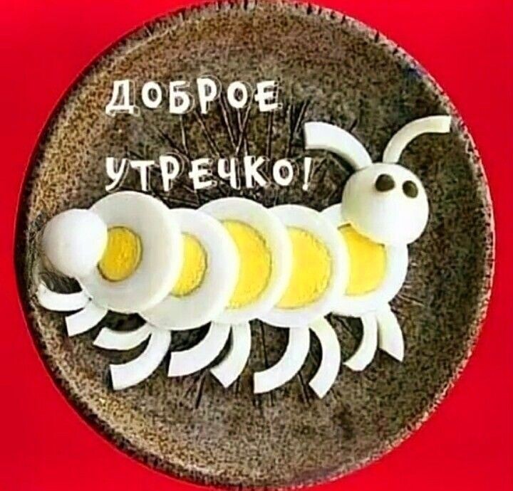 Фото интернета