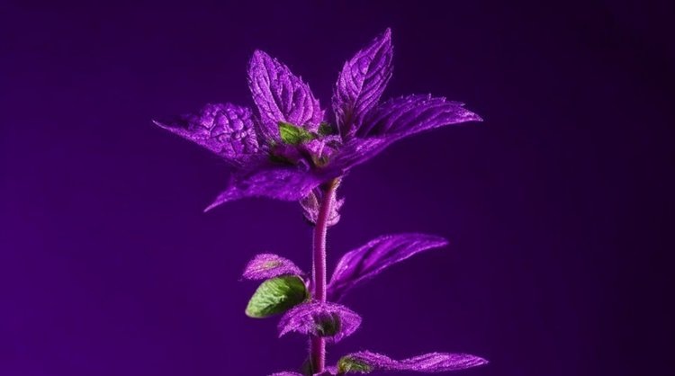    Фото: Медведева Анна, AgroXXI.ru