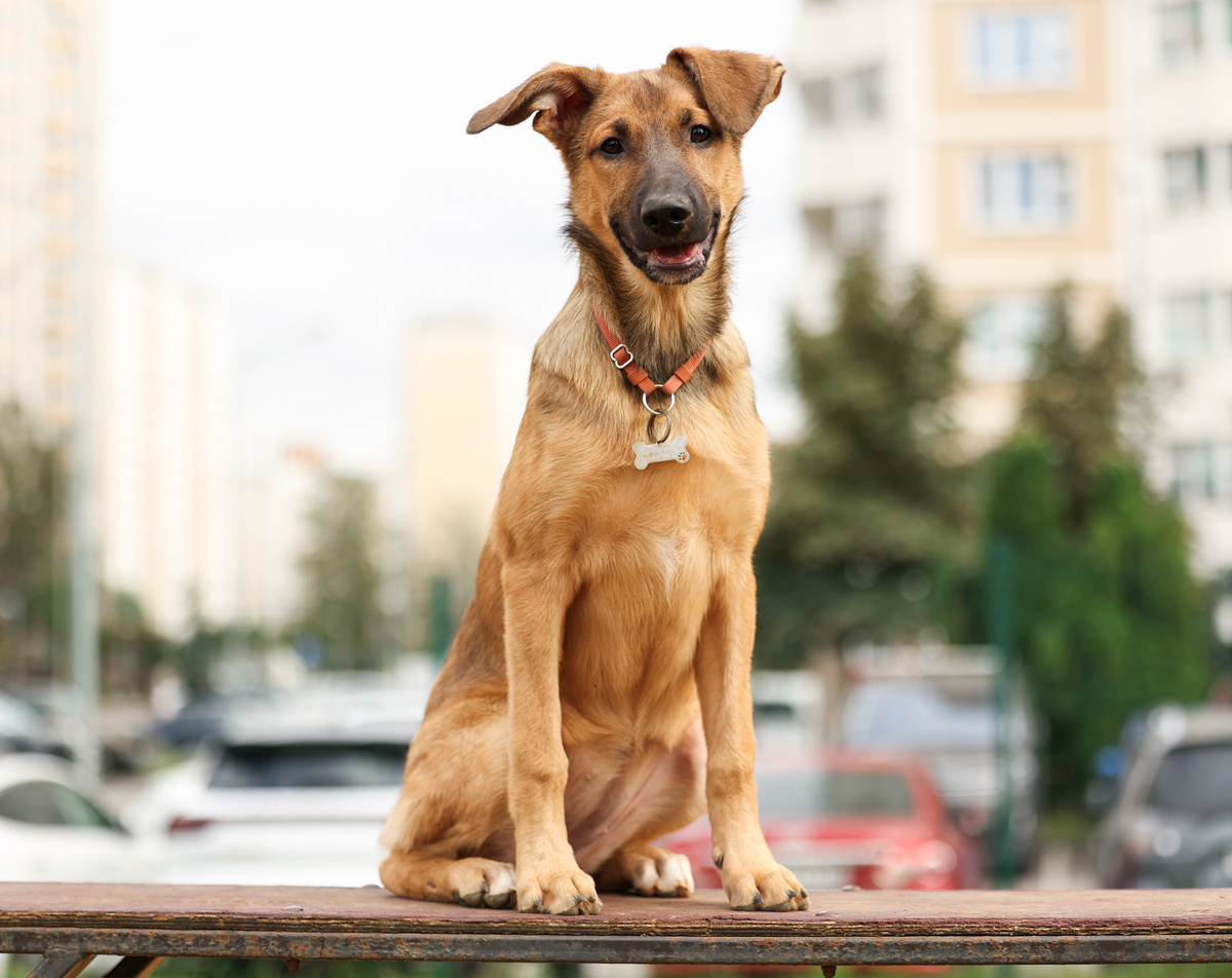 Так нормально улыбаюсь для фотосессии? Пойдет? Заберут сразу же?