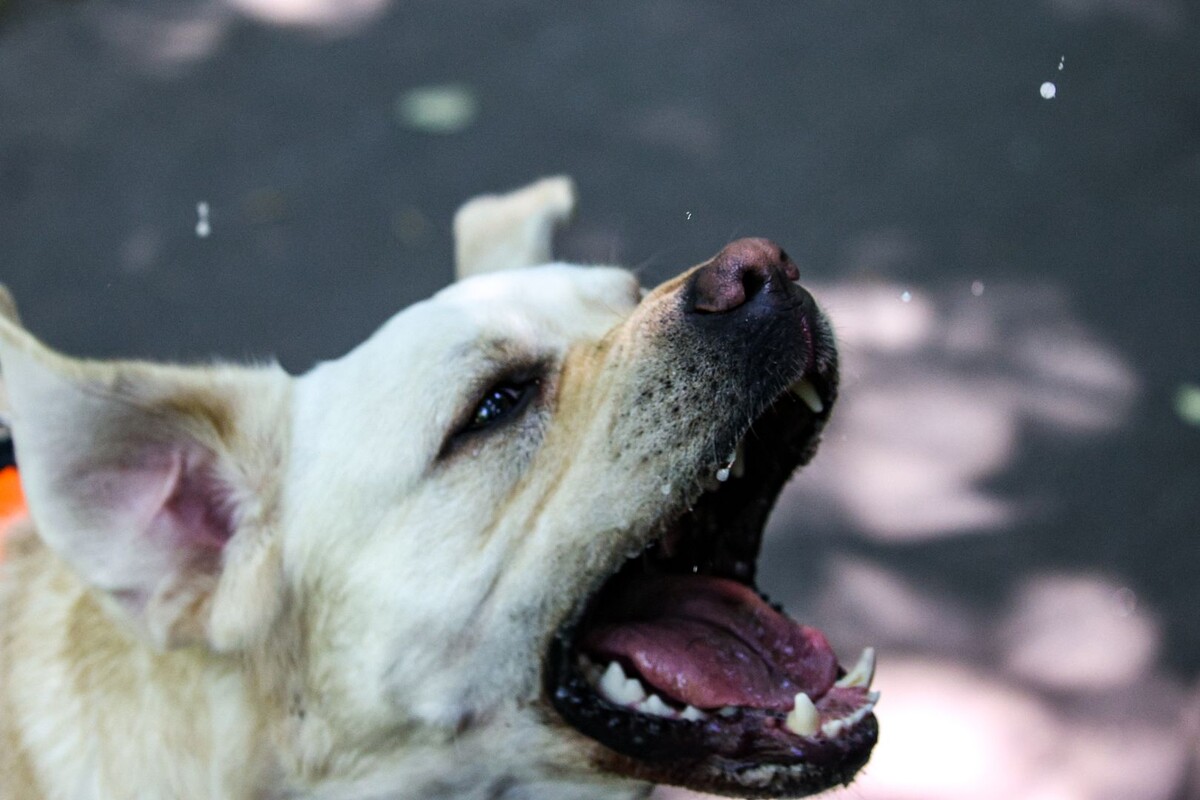     / Источник: © Lantyukhov Sergey/Global Look Press