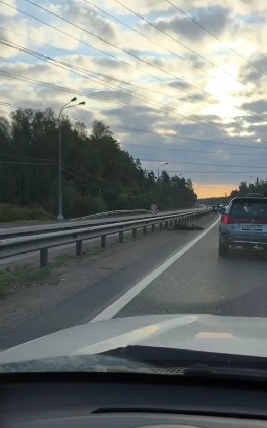    Фото: скрин видео из Telegram-канала «Мегаполис | ДТП и ЧП | Санкт-Петербург | Питер»