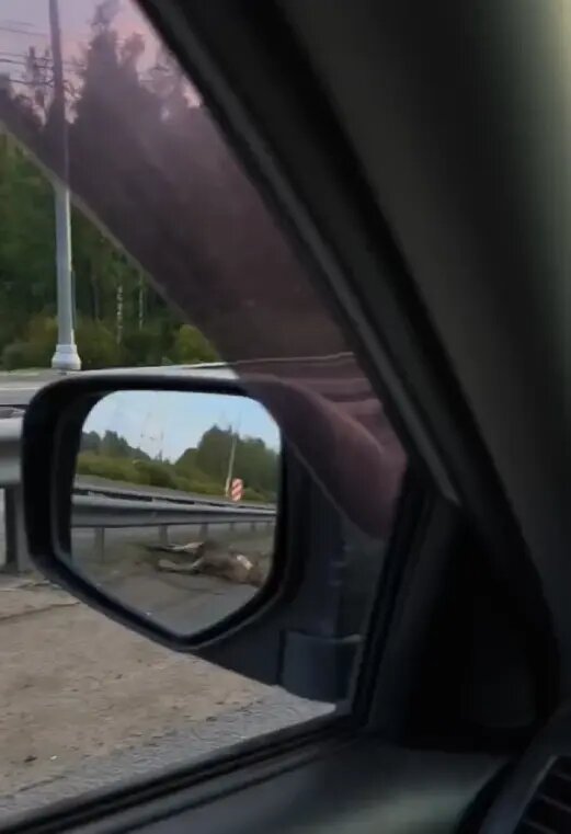    Фото: скрин видео из Telegram-канала «Мегаполис | ДТП и ЧП | Санкт-Петербург | Питер»