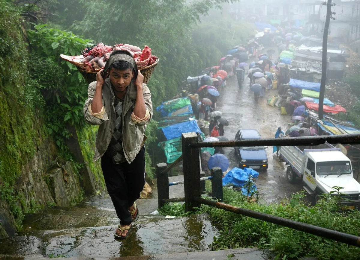 Быть сырым здесь - самое стандартное состояние