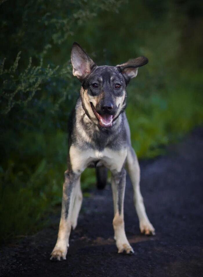 Листайте вправо, чтобы увидеть больше изображений