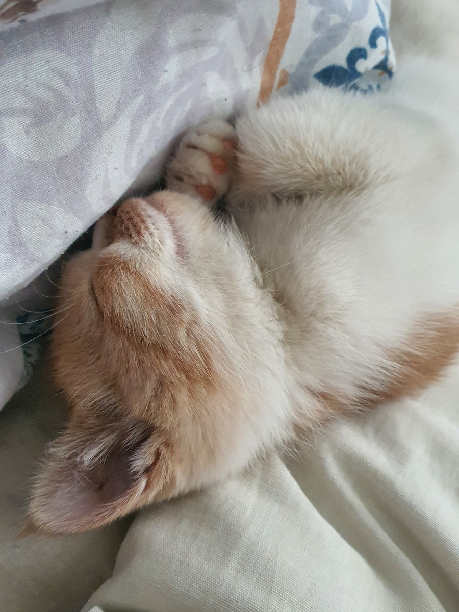 Фото из личного архива