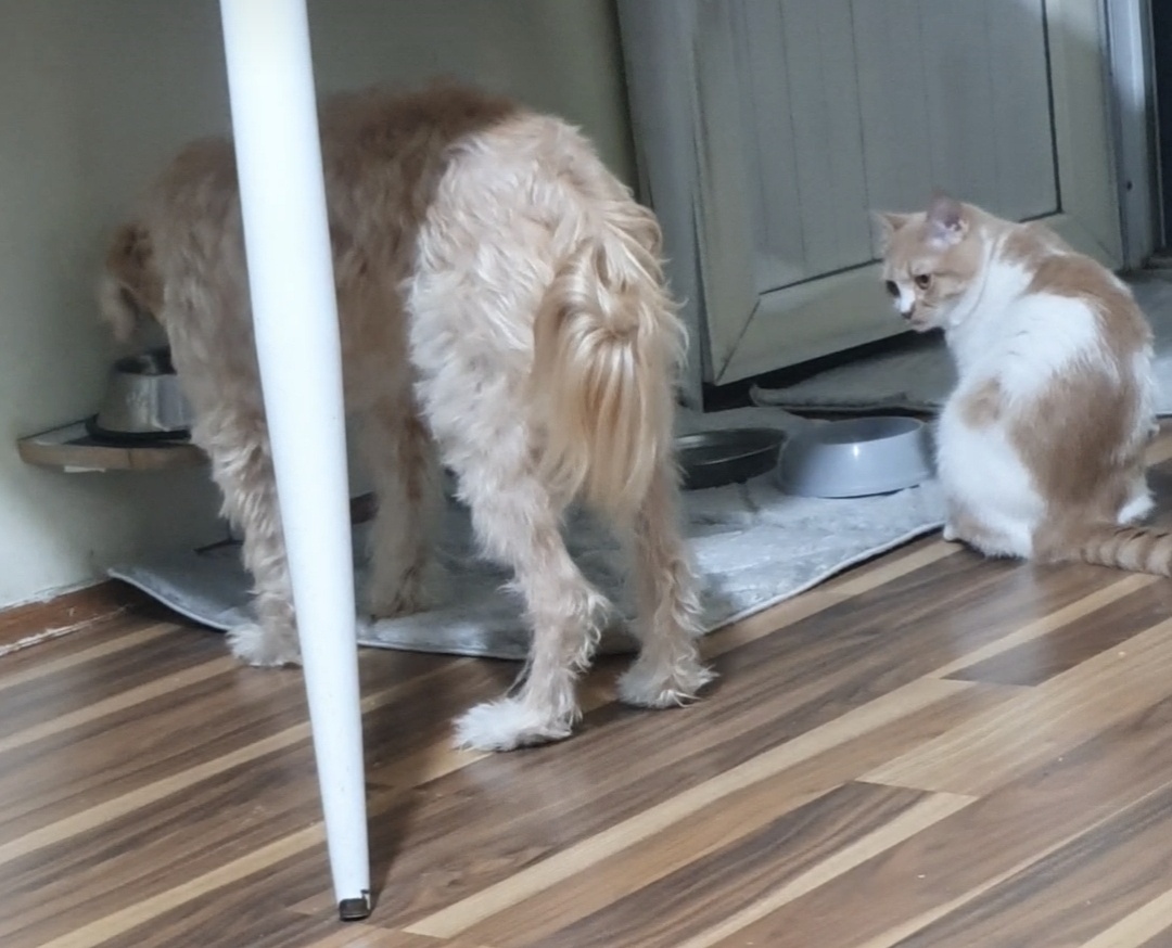 Фото из личного архива