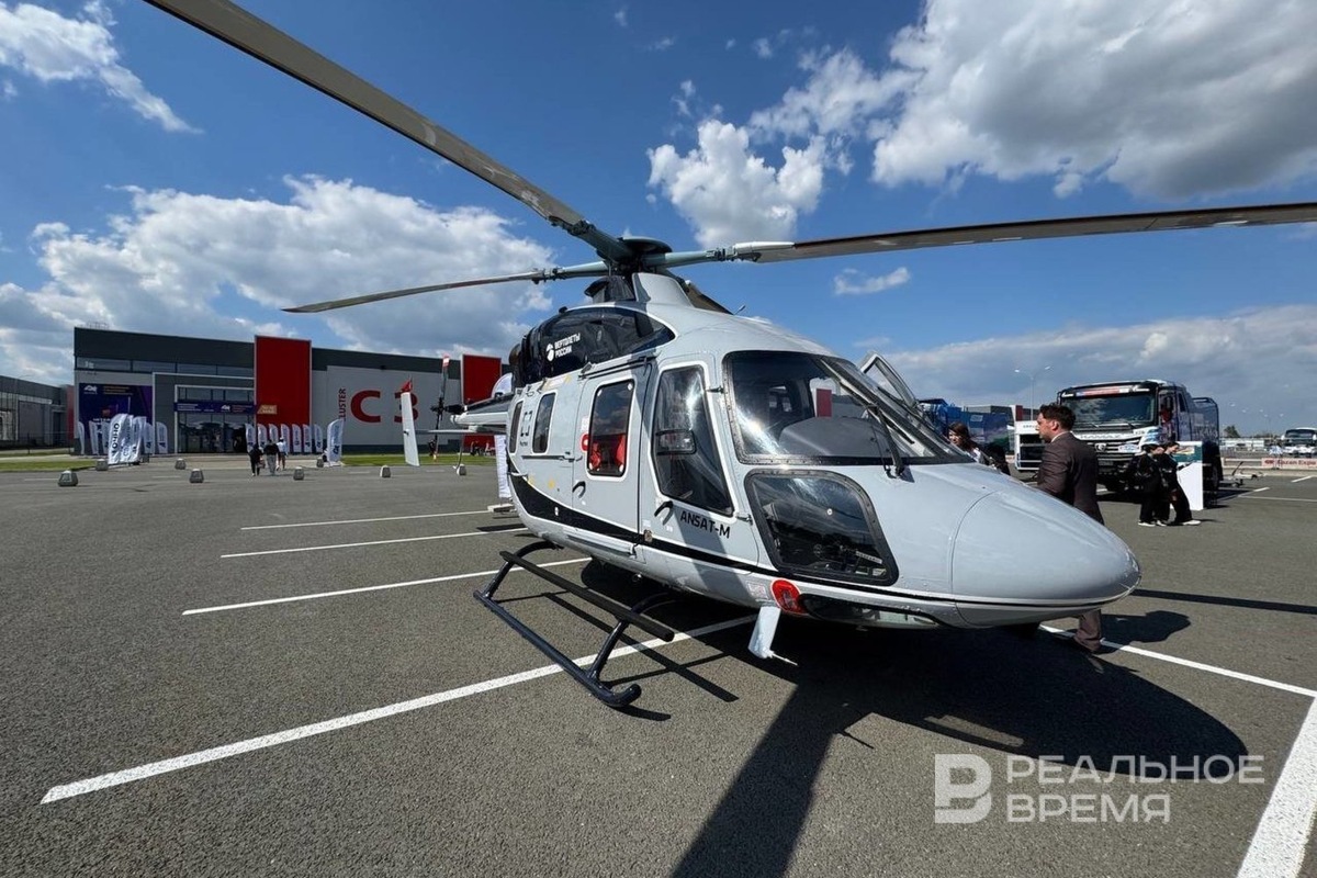   Дарья Пинегина / realnoevremya.ru