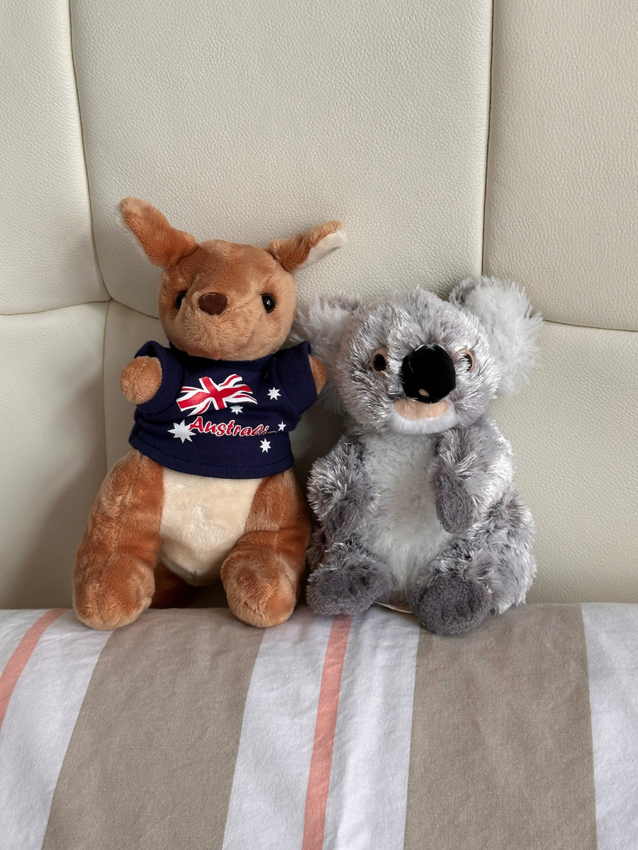 Намёк понятен? 😁