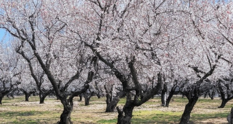    Фото: Медведева Анна, AgroXXI.ru