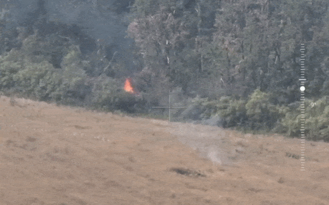    Владимир Павлов: "Горящая лесополоса - это просто ...". Видео предоставлено Владимиром Павловым