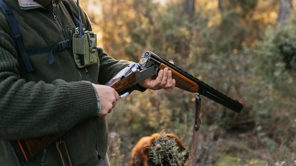    Фото: Jordi Mora / Shutterstock / Fotodom