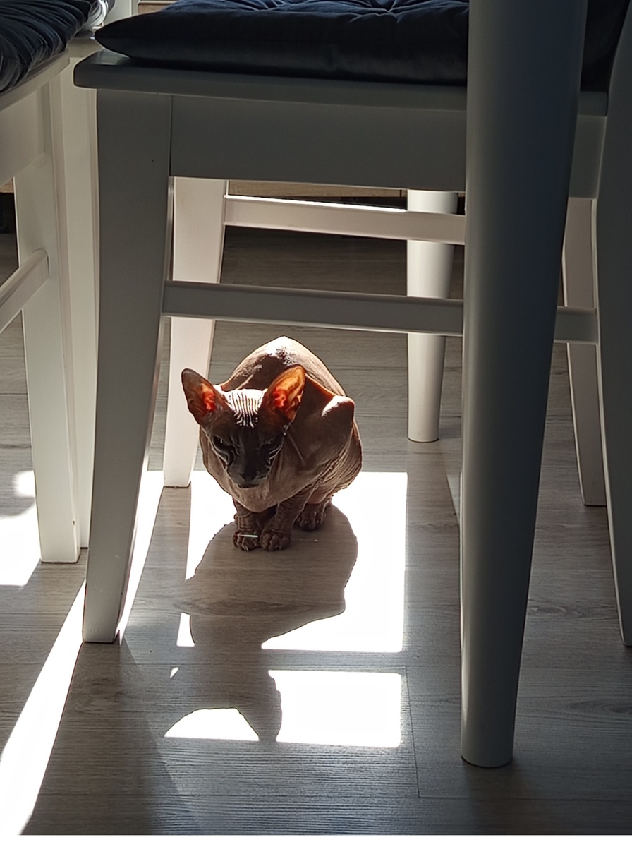 Вот так например)