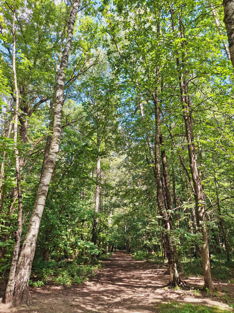 По дорожкам уходит лето. Последние теплые деньки ...  как жаль, как же я буду тебя ждать