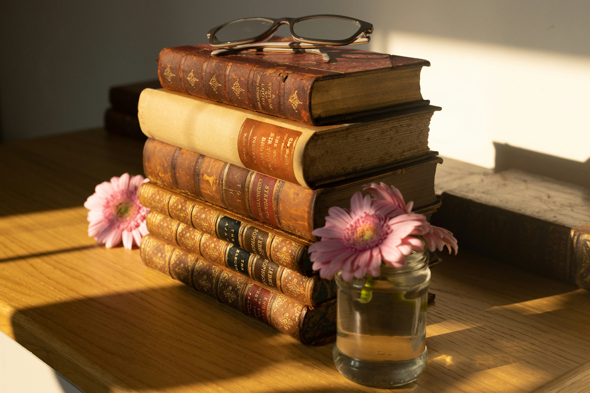 Изображение взято из открытых источников. 