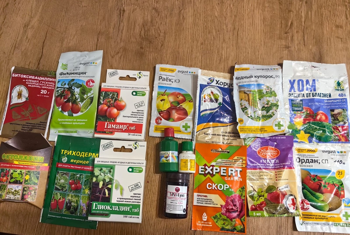 Химические и биологические фунгициды. Фото Натальи Мироновой