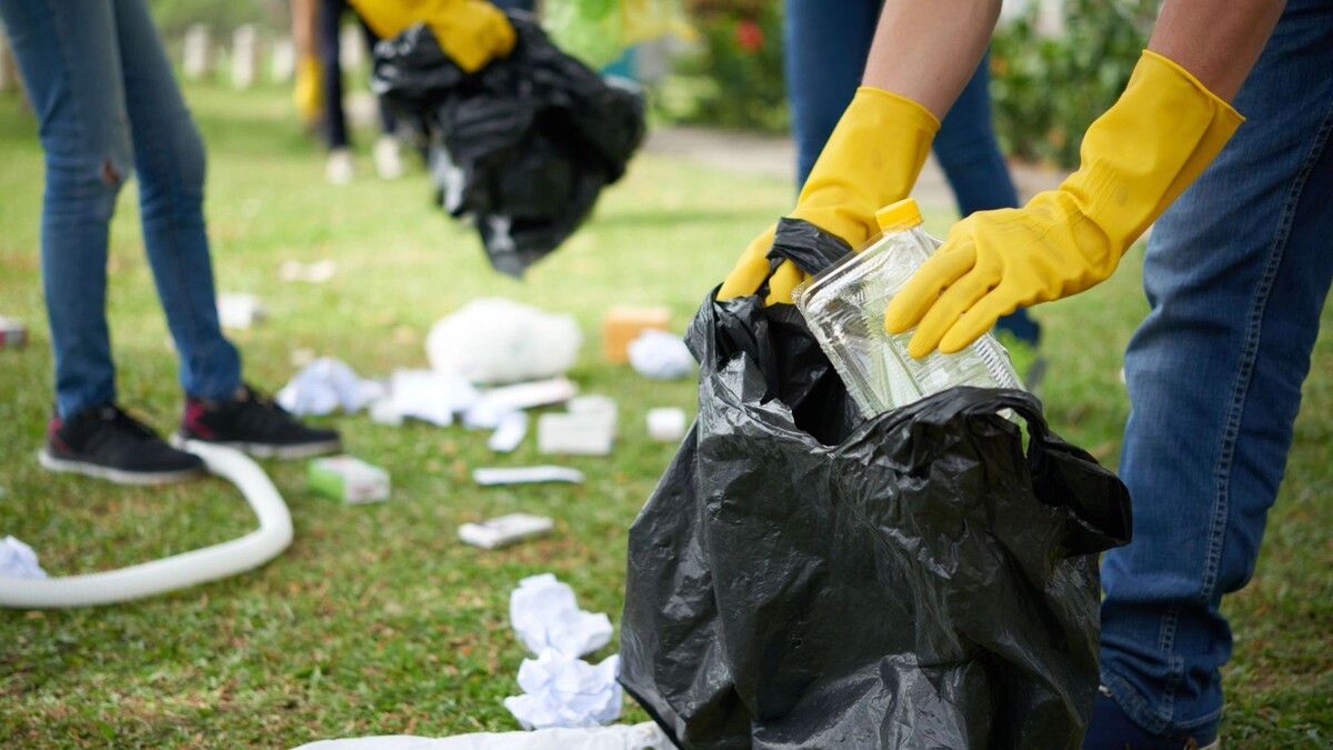    Фото: Dragon Images / Shutterstock / Fotodom