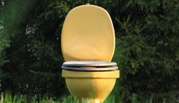 Летом вопросы с туалетом решаются довольно легко – видимые проблемы наступают вместе с морозами / Фото: pxhere.com