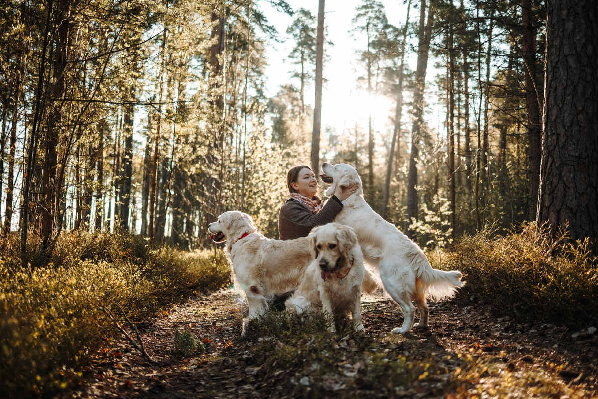 На фото почти вся наша стая, только маленькой Мяты не хватает – спряталась в кустиках