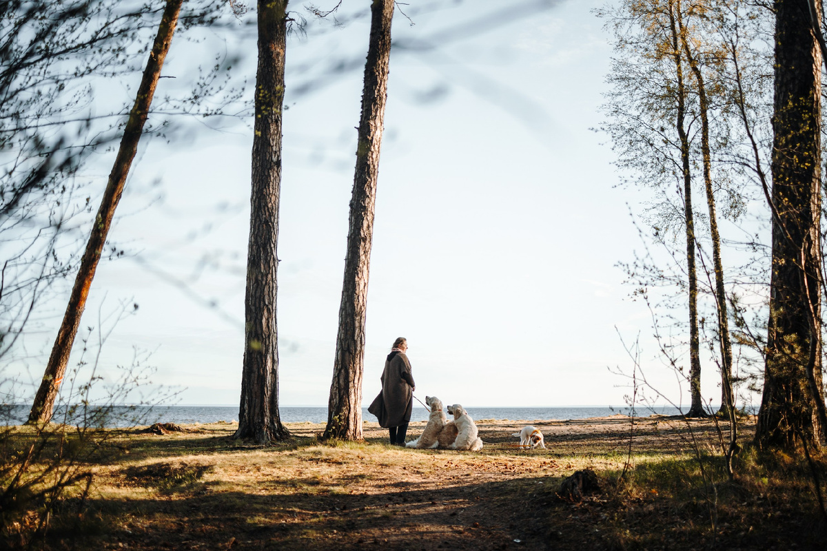 Финский залив. Утро. И на всём берегу никого нет, кроме нас.